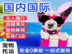 延吉国际宠物托运 【国